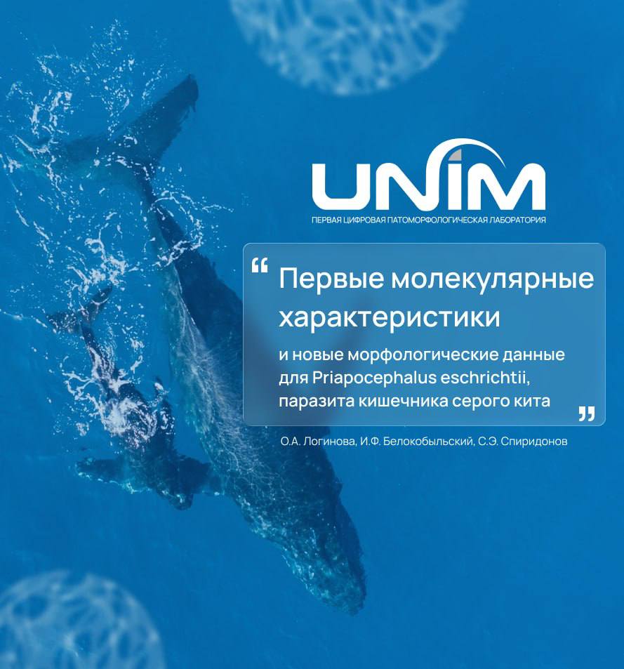 news-img